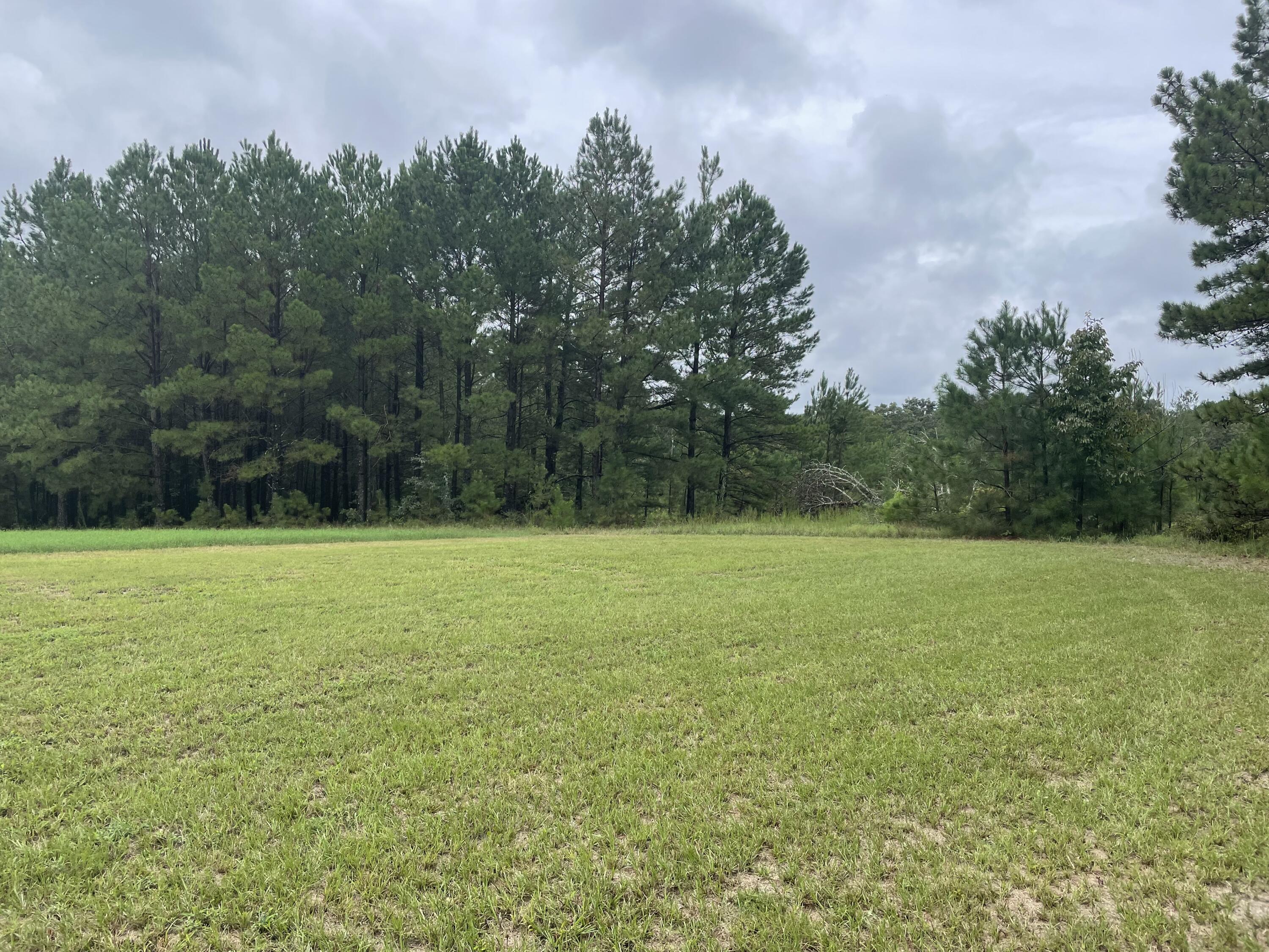 113 Fox Road Aiken, SC 29805 - Photo 3 of 13 a view of a field of grass and trees