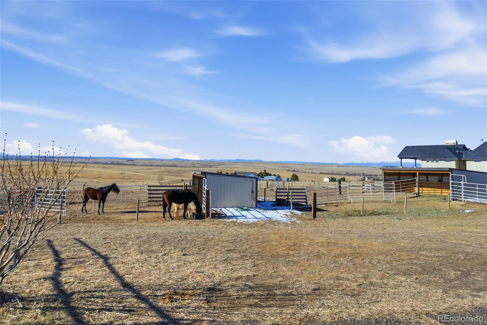 7600 Patrick Trail Elizabeth, CO 80107 - Photo 27 of 50
