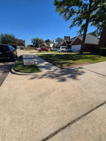 a view of a yard with palm trees
