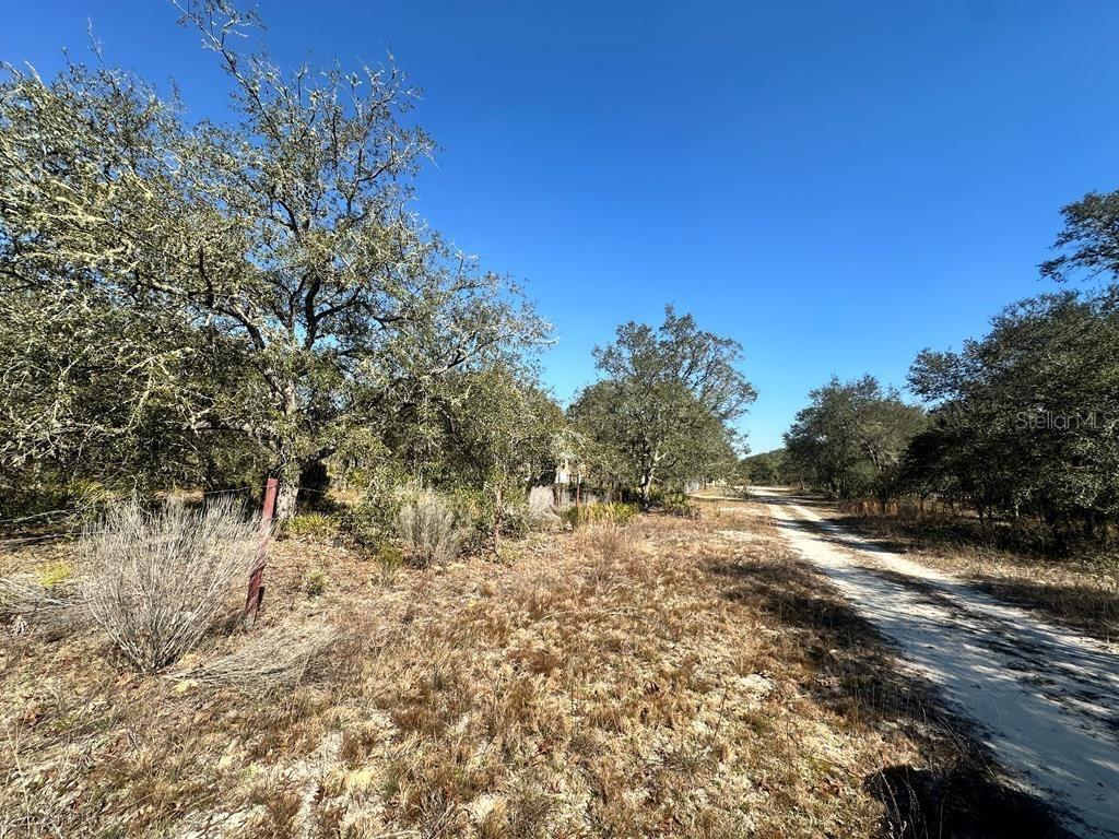 Northeast 69th Street Williston, FL 32696 - Photo 4 of 5