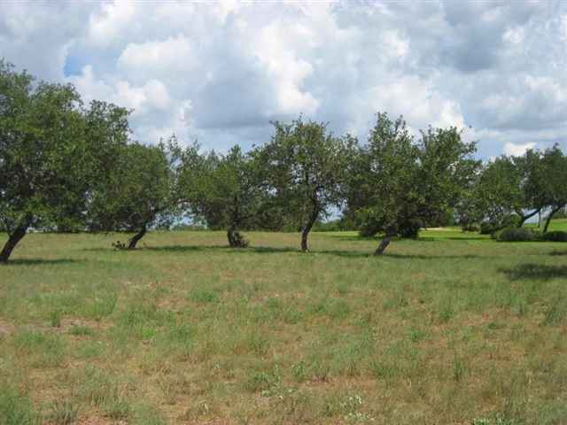 2928 Cliff Overlook Spicewood, TX 78669 - Photo 2 of 6