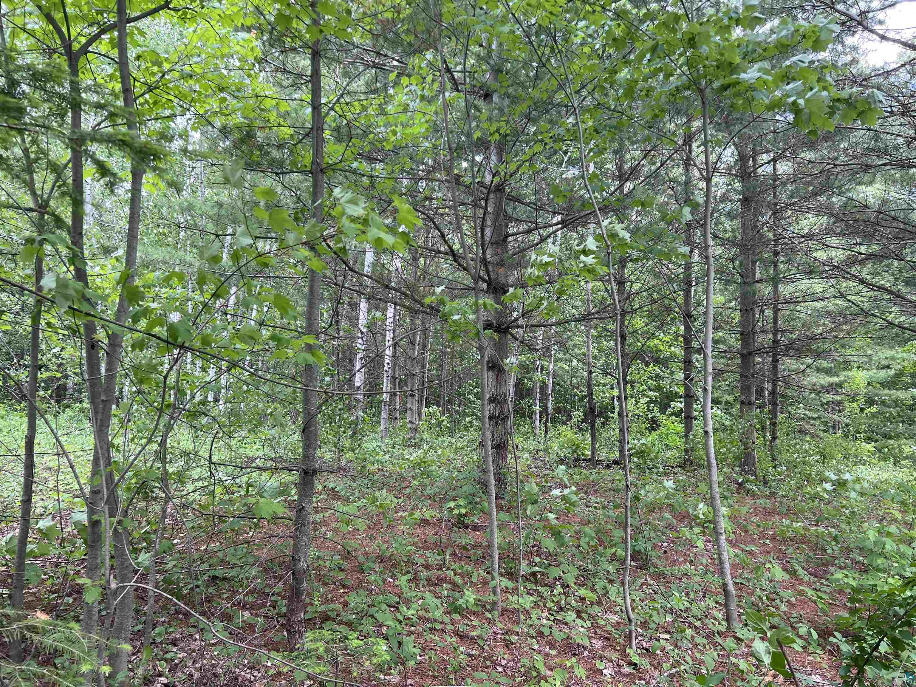 Xxx Rice Avenue Bayfield, WI 54814 - Photo 3 of 11