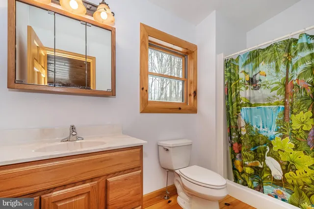 a bathroom with a sink a mirror and a toilet