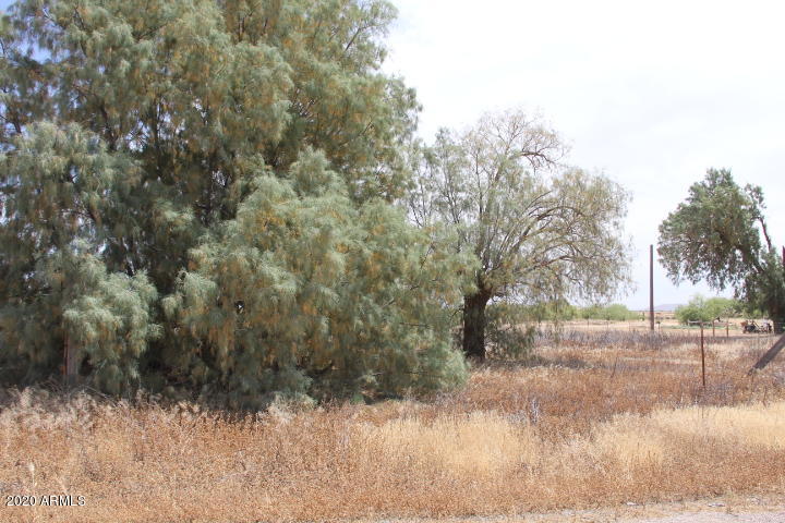 4439 North Wheeler Road Coolidge, AZ 85128 - Photo 34 of 35 2020-04-30 12.27.09