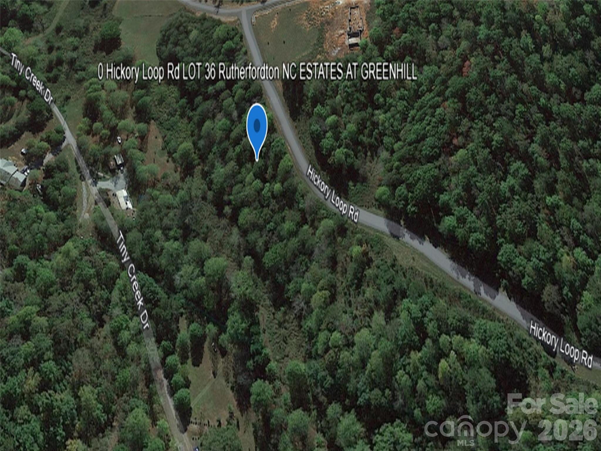 0 Hickory Loop Road, Unit LOT 36 Tryon, NC 28782 - Photo 5 of 8