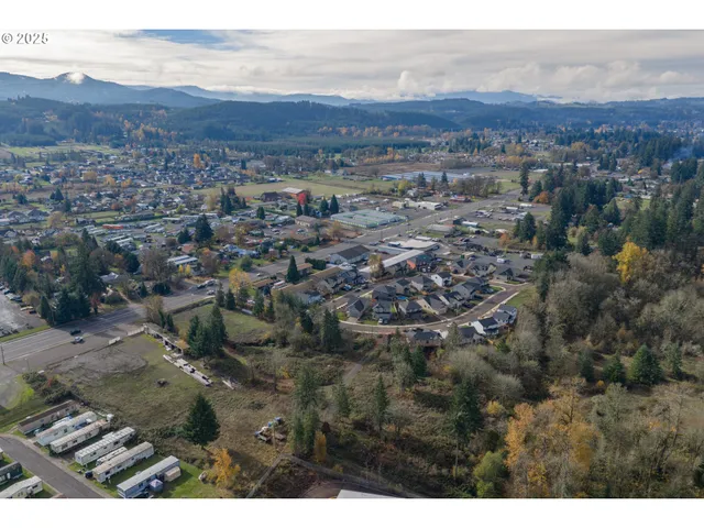 a view of city and mountain