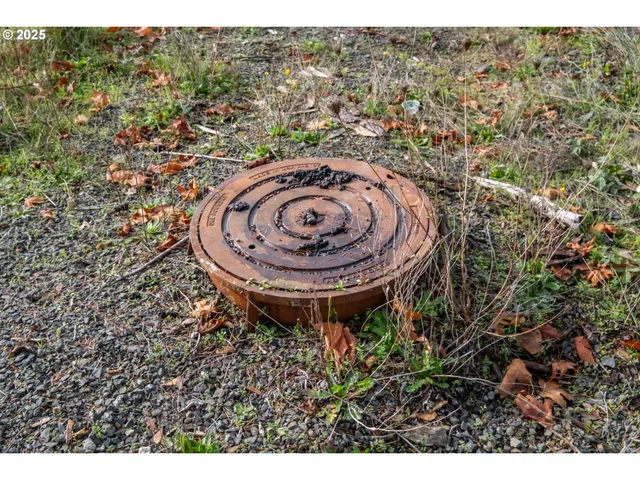 a view of a backyard of the house