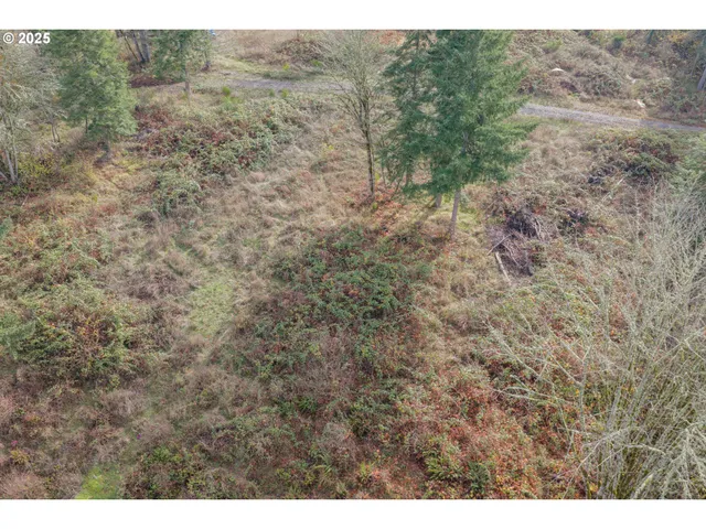 a view of a dry yard with green space