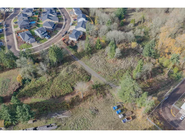 a bird view of field