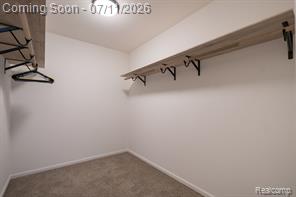 416 Otter Run Road Holly, MI 48442 - Photo 24 of 47