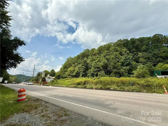 a street view with large trees