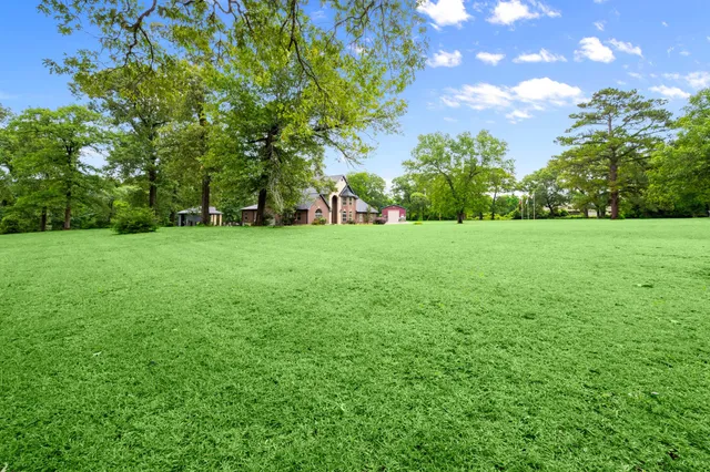 a view of a big yard with a tree
