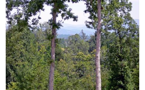 8 Evergreen Ridge Road Ellijay, GA 30536 - Photo 1 of 1 Main View