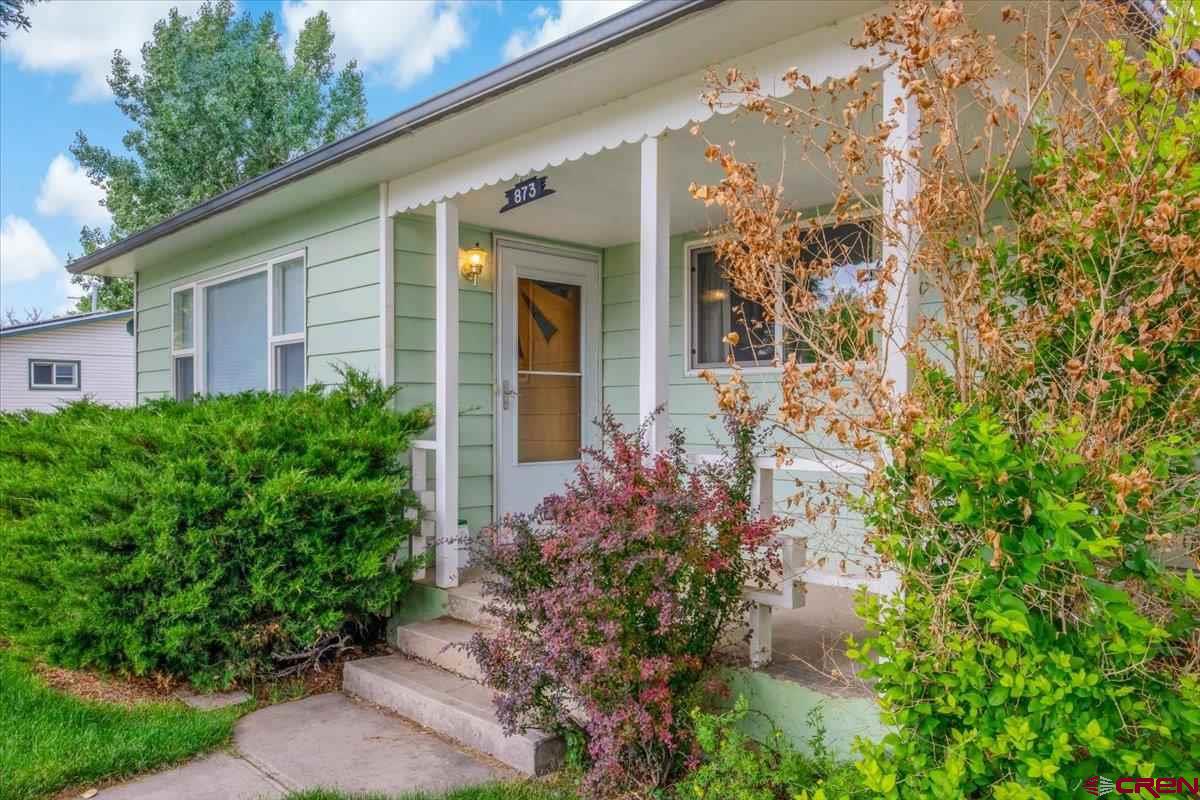 873 Alpine Road Montrose, CO 81403 - Photo 3 of 30 Gallery Image 3