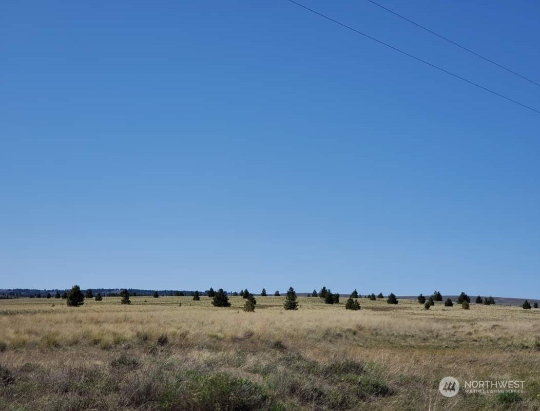 205 Middle Road Bickleton, WA 99322 - Photo 2 of 19