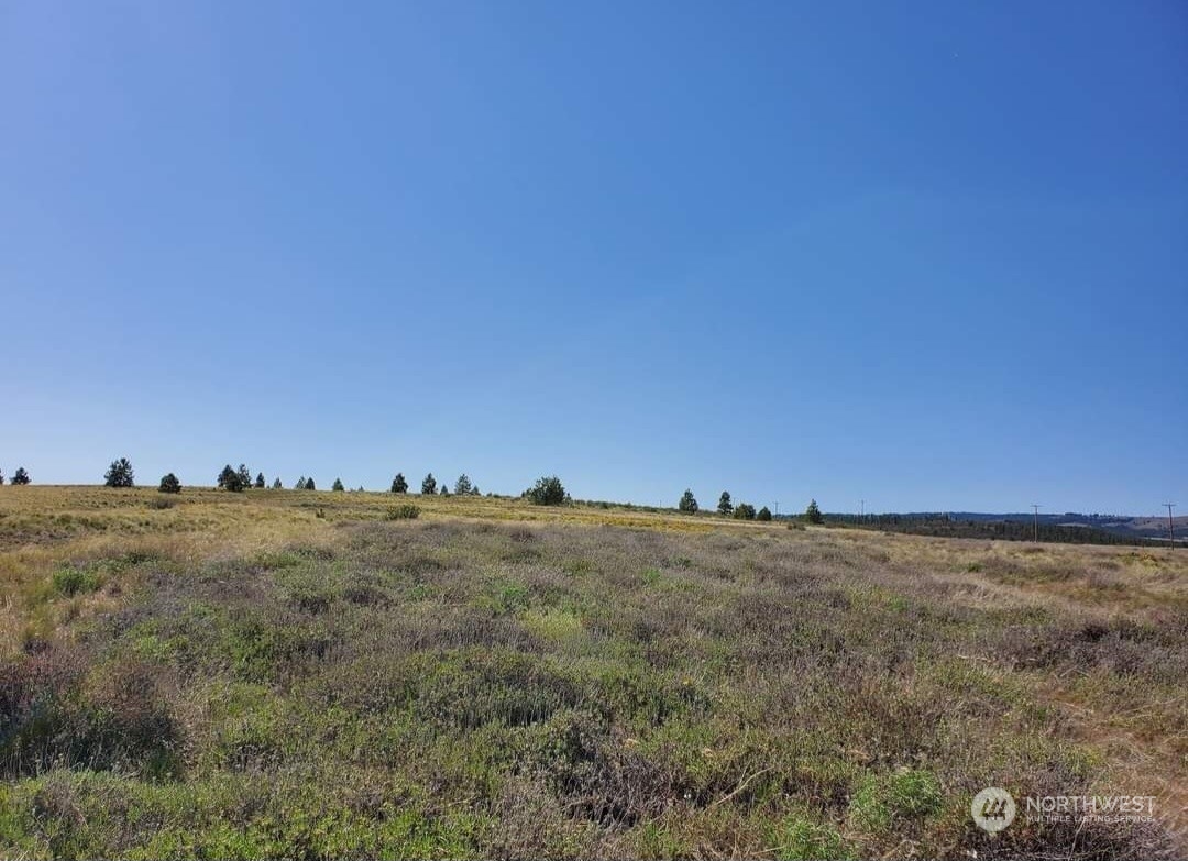 205 Middle Road Bickleton, WA 99322 - Photo 4 of 19 a view of a large building with a view of mountains in back