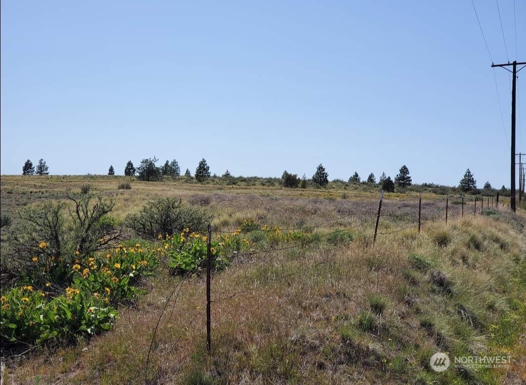 205 Middle Road Bickleton, WA 99322 - Photo 5 of 19 a view of a lake in middle of forest