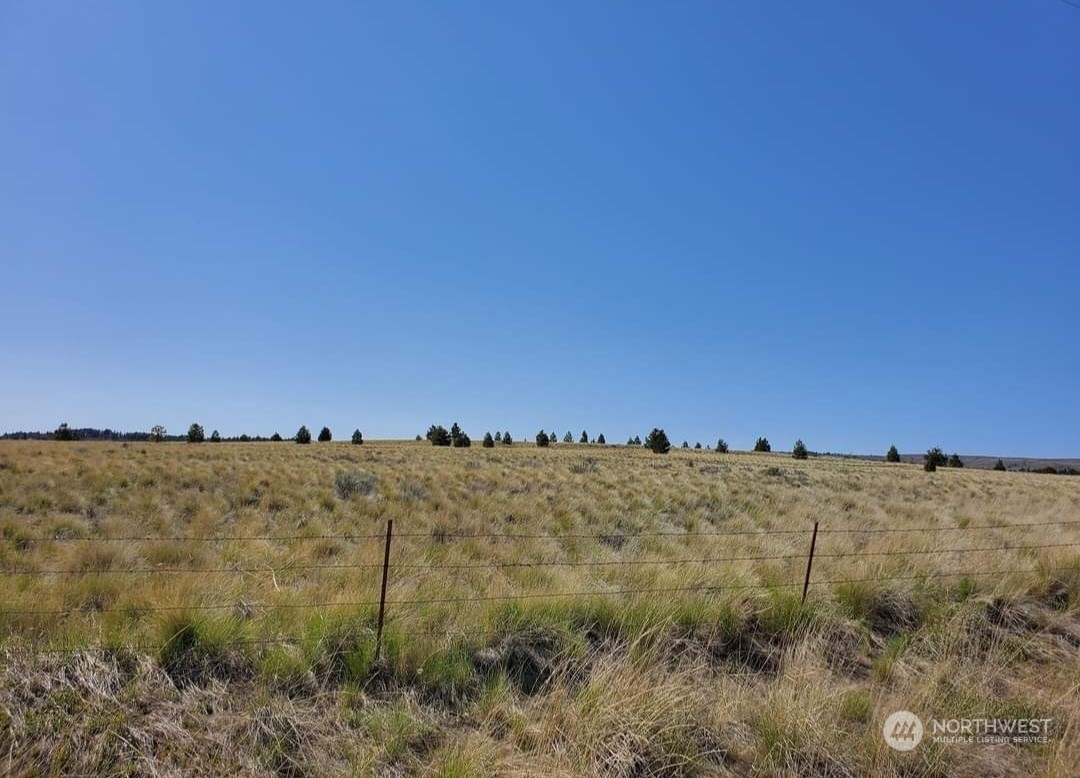 205 Middle Road Bickleton, WA 99322 - Photo 6 of 19