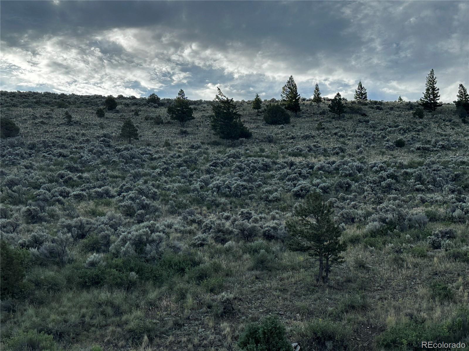 134 Schierl Road Fort Garland, CO 81133 - Photo 11 of 12 a view of a dry yard