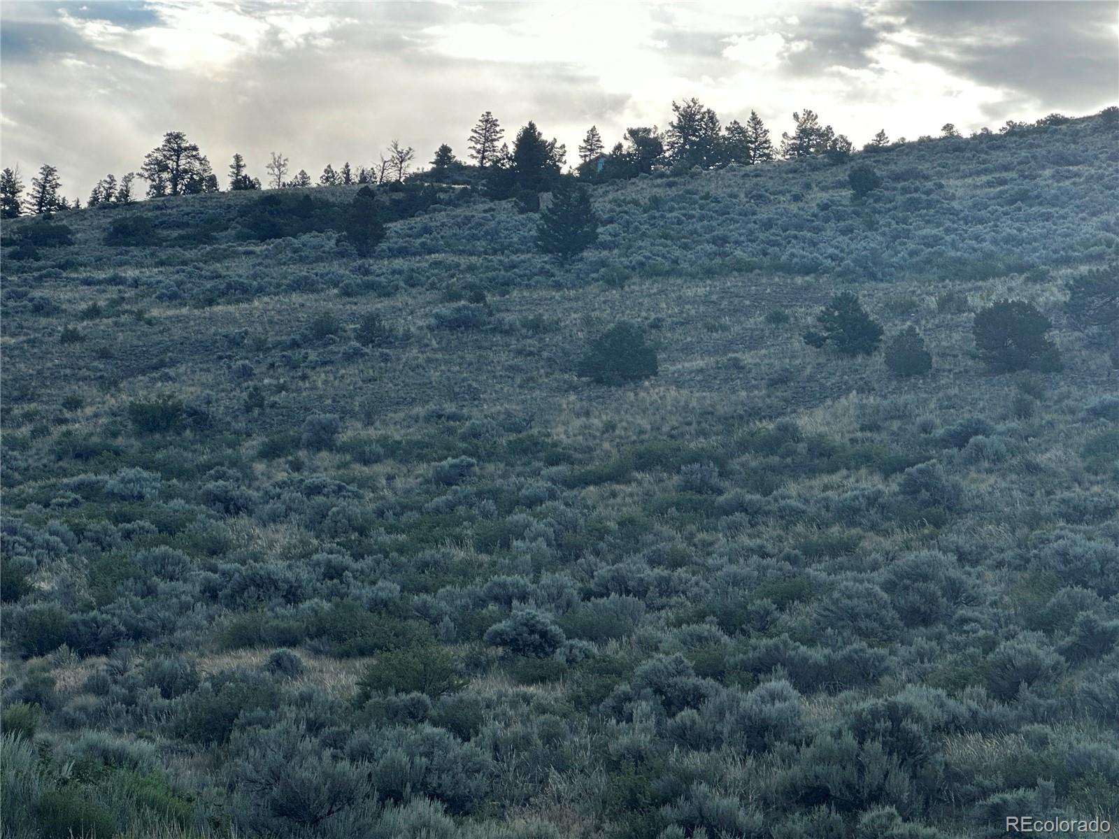 134 Schierl Road Fort Garland, CO 81133 - Photo 12 of 12 a view of a dry space