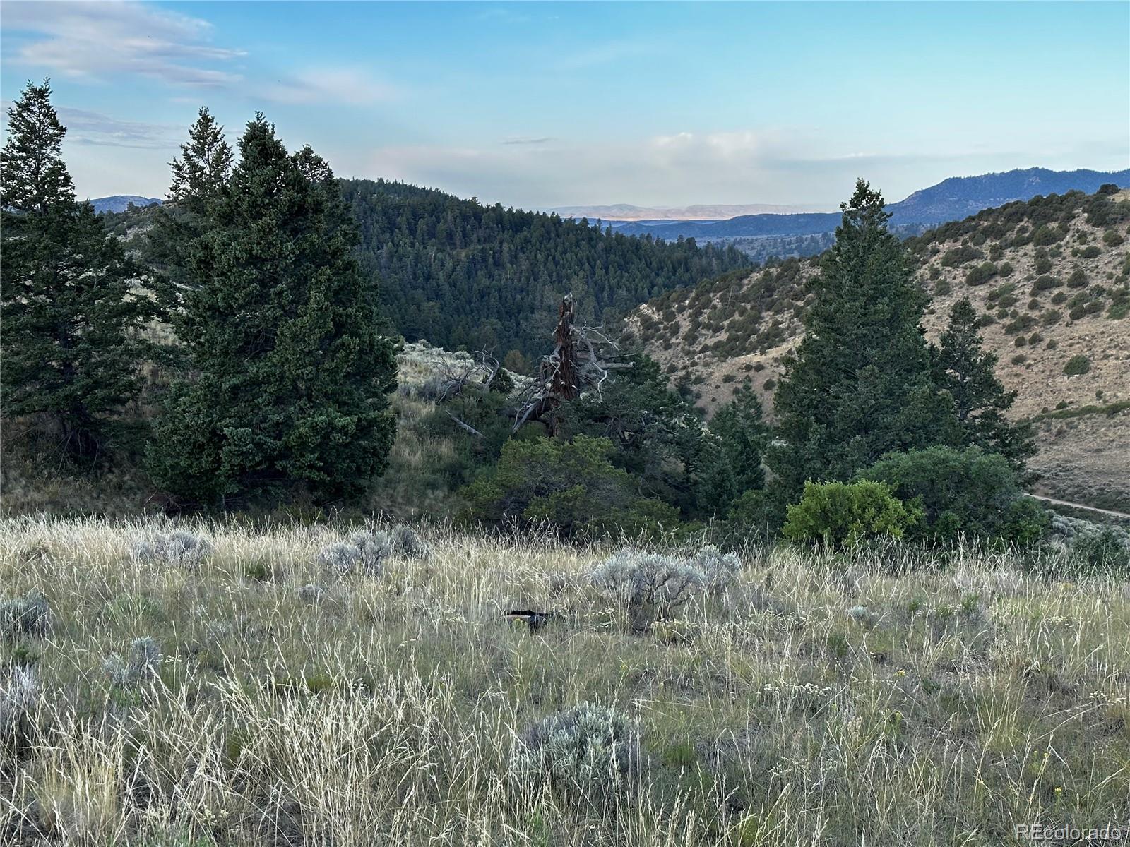 134 Schierl Road Fort Garland, CO 81133 - Photo 3 of 12 a view of a lake