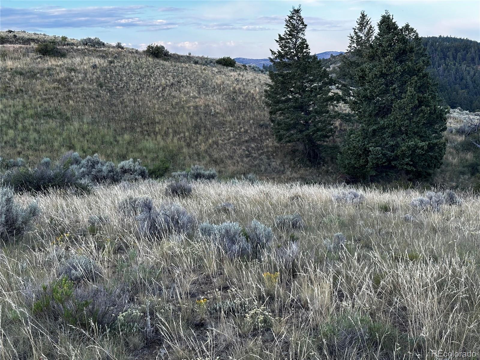 134 Schierl Road Fort Garland, CO 81133 - Photo 4 of 12 a view of a yard