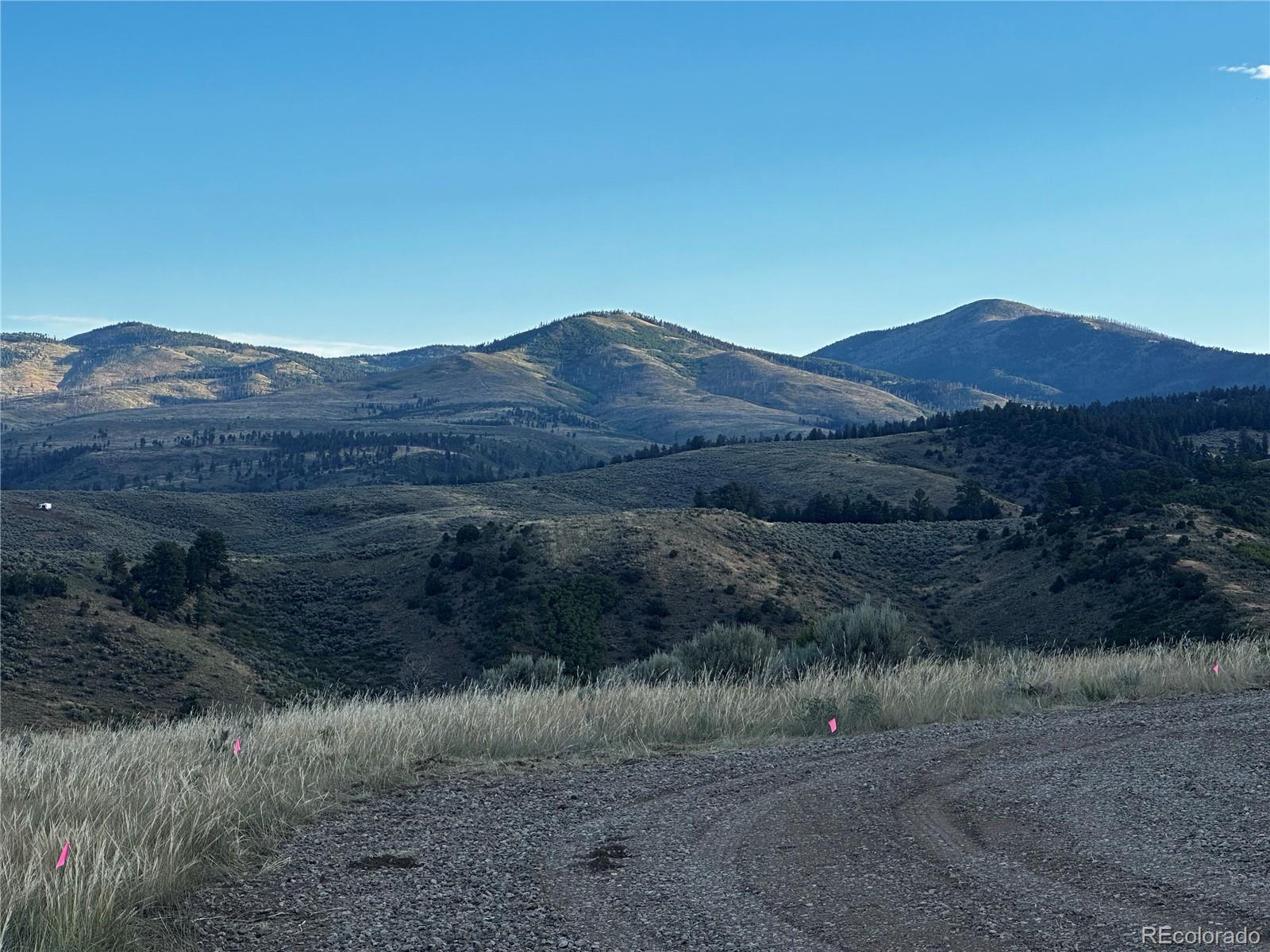 134 Schierl Road Fort Garland, CO 81133 - Photo 5 of 12 a view of outdoor space and a mountain view
