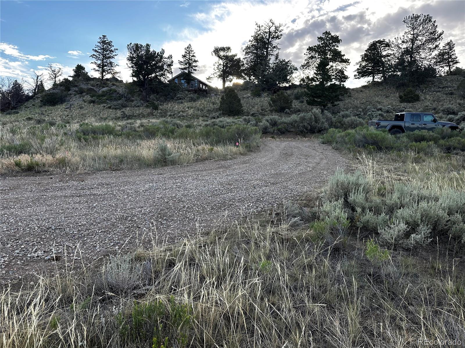 134 Schierl Road Fort Garland, CO 81133 - Photo 6 of 12 a view of a dry yard with trees