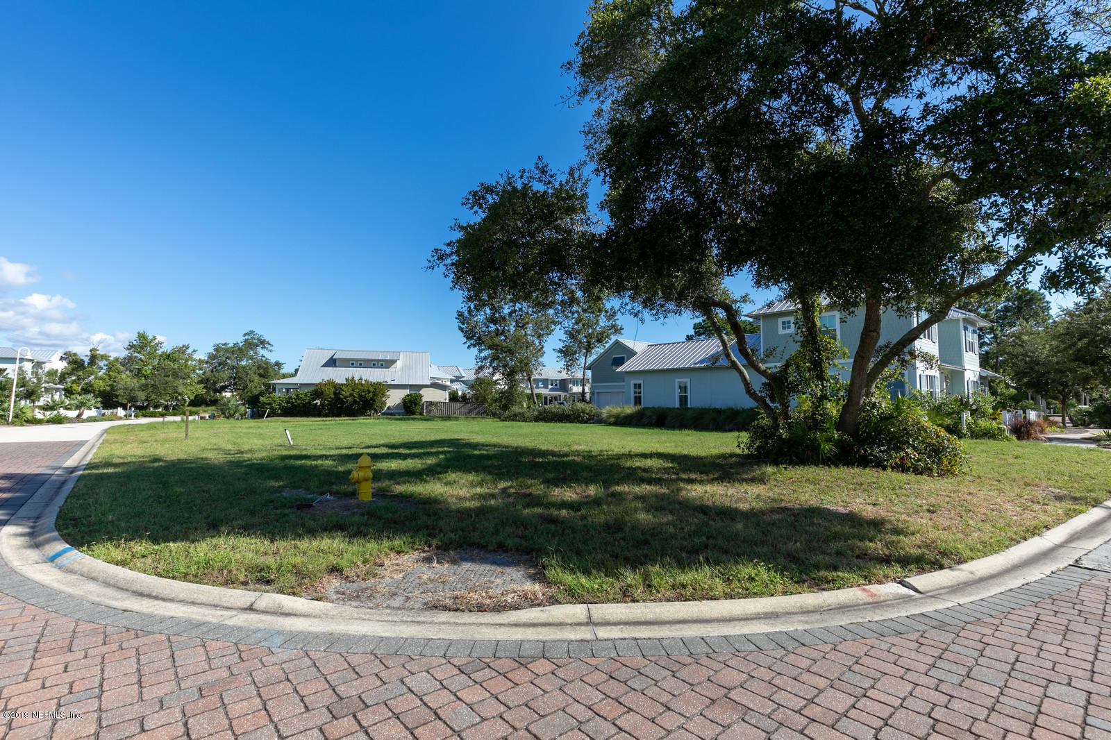 a view of a park with large trees