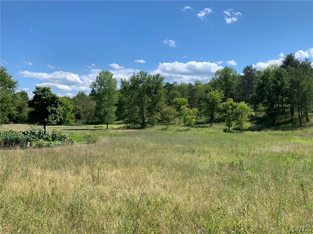 2222 Osborne Road Sullivan, NY 13037 - Photo 15 of 50