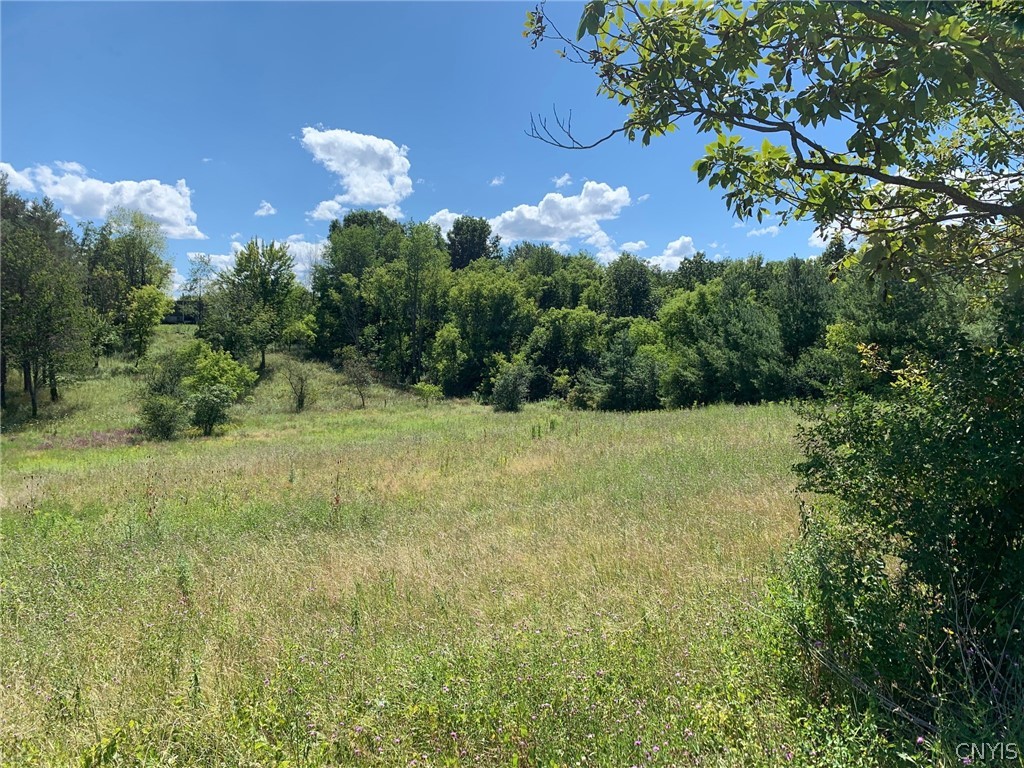 2222 Osborne Road Sullivan, NY 13037 - Photo 16 of 50