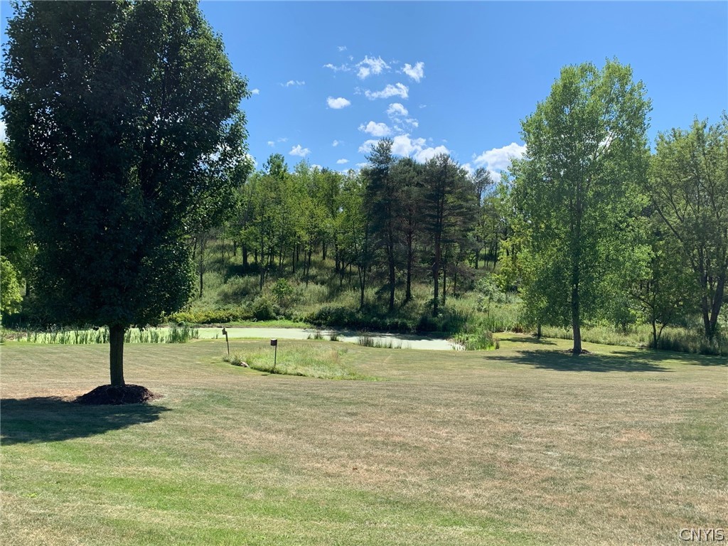 2222 Osborne Road Sullivan, NY 13037 - Photo 18 of 50