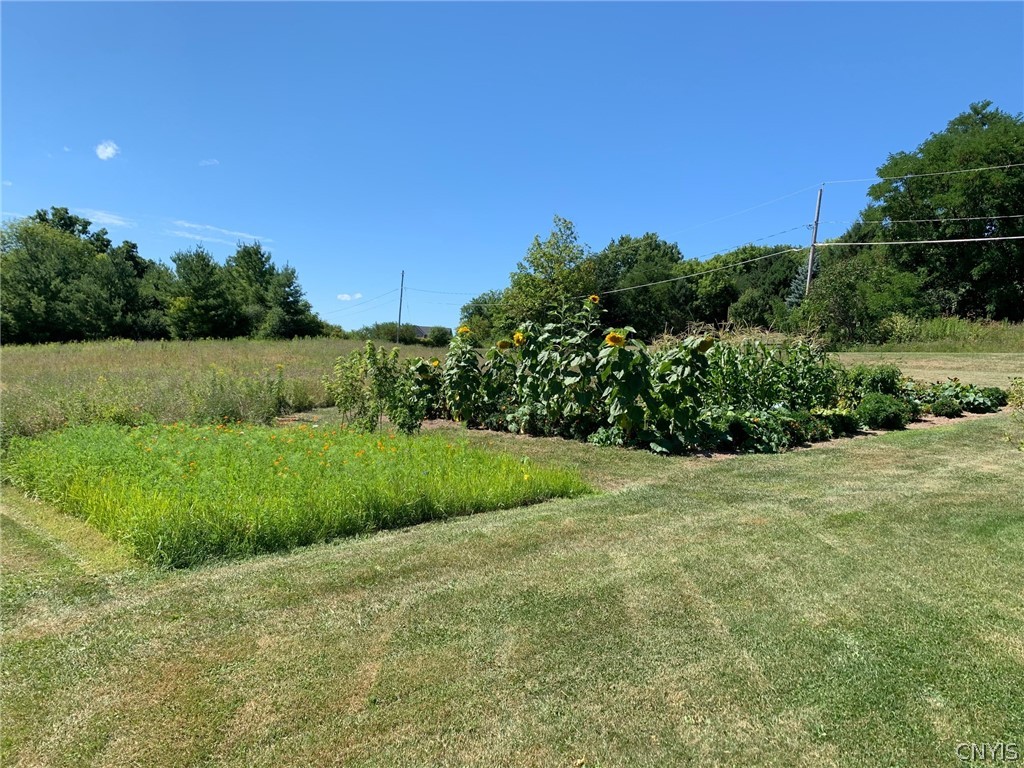 2222 Osborne Road Sullivan, NY 13037 - Photo 20 of 50