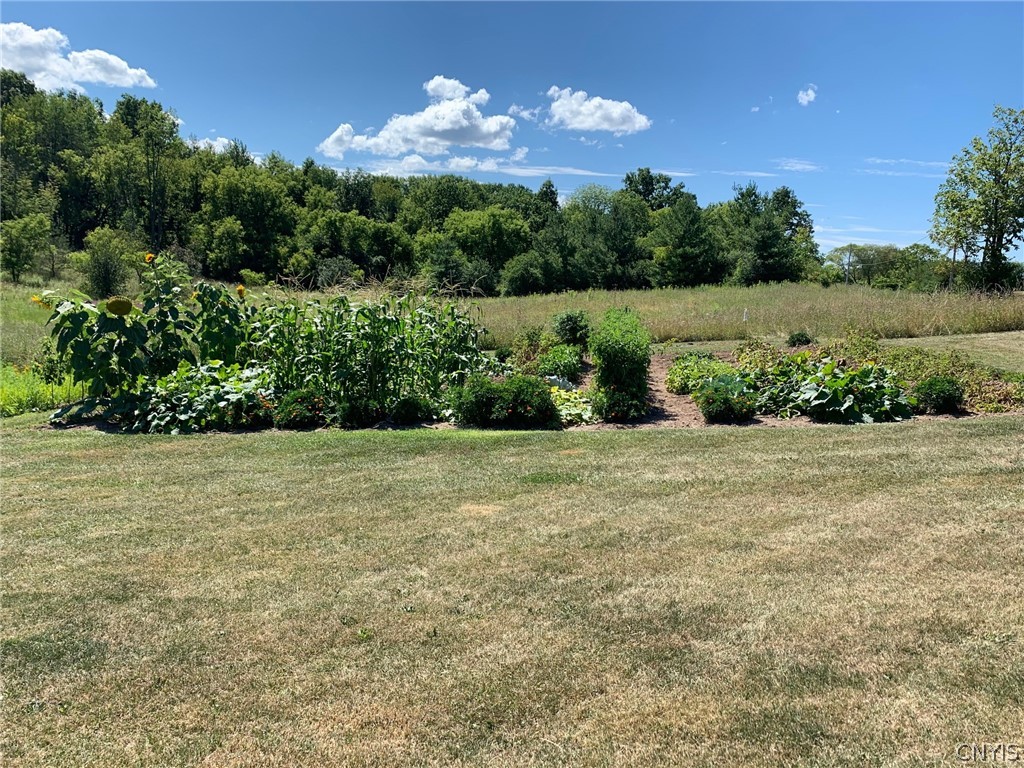 2222 Osborne Road Sullivan, NY 13037 - Photo 21 of 50