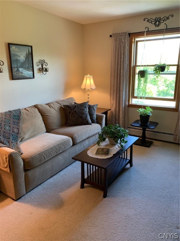 2222 Osborne Road Sullivan, NY 13037 - Photo 43 of 50