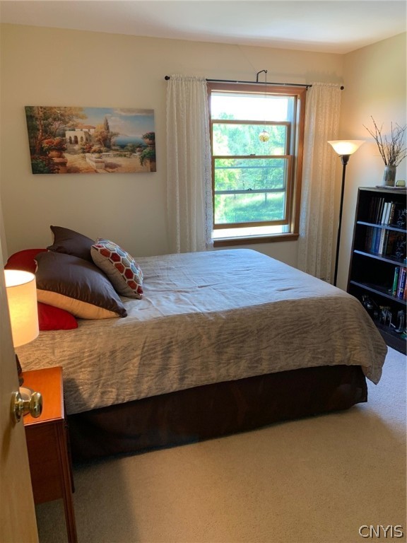 2222 Osborne Road Sullivan, NY 13037 - Photo 45 of 50