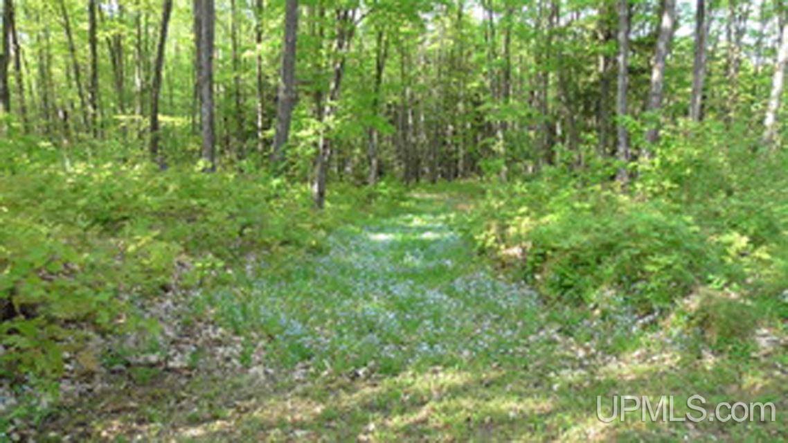 5.9-ac Off Chaney Coves Road, Unit 5 Bessemer, MI 49911 - Photo 12 of 12