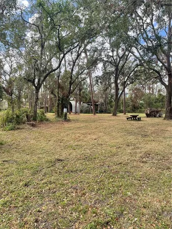 a view of outdoor space with trees