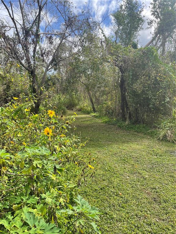 12355 Doris Road Parrish, FL 34219 - Photo 16 of 27 a view of a yard with a tree