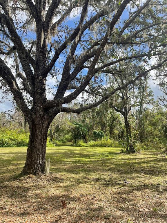 12355 Doris Road Parrish, FL 34219 - Photo 18 of 27 a view of a yard with large trees