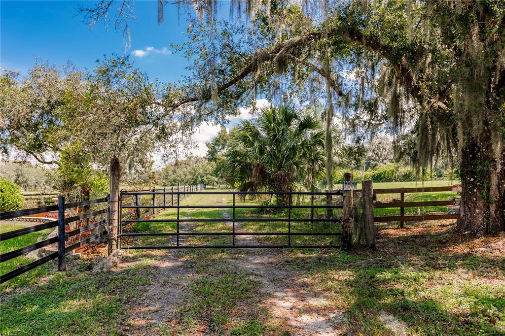 12355 Doris Road Parrish, FL 34219 - Photo 3 of 27 a view of a bench in a yard
