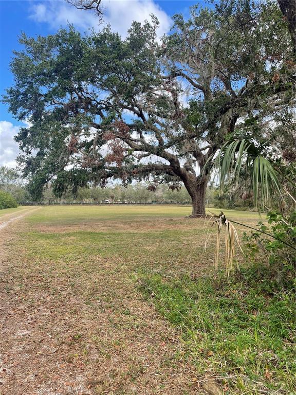 12355 Doris Road Parrish, FL 34219 - Photo 8 of 27 a large yard with lots of green space and fog