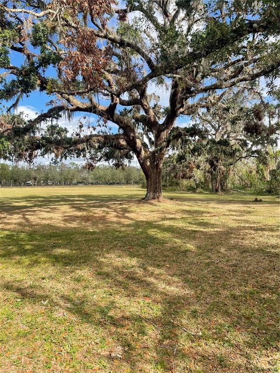 12355 Doris Road Parrish, FL 34219 - Photo 9 of 27 a view of an ocean