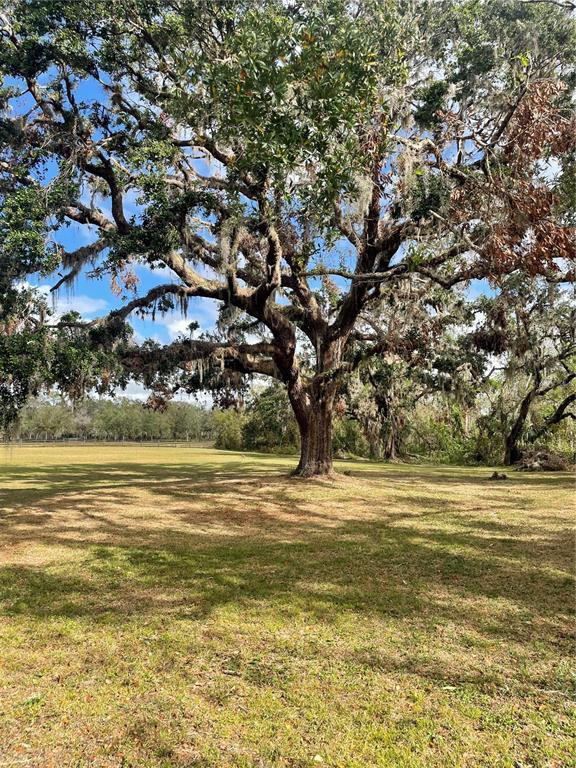 12355 Doris Road Parrish, FL 34219 - Photo 10 of 27 a view of an ocean