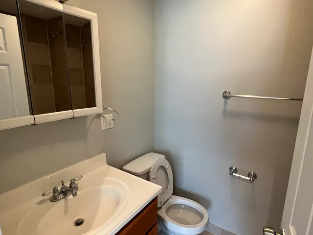 a bathroom with a sink and a toilet