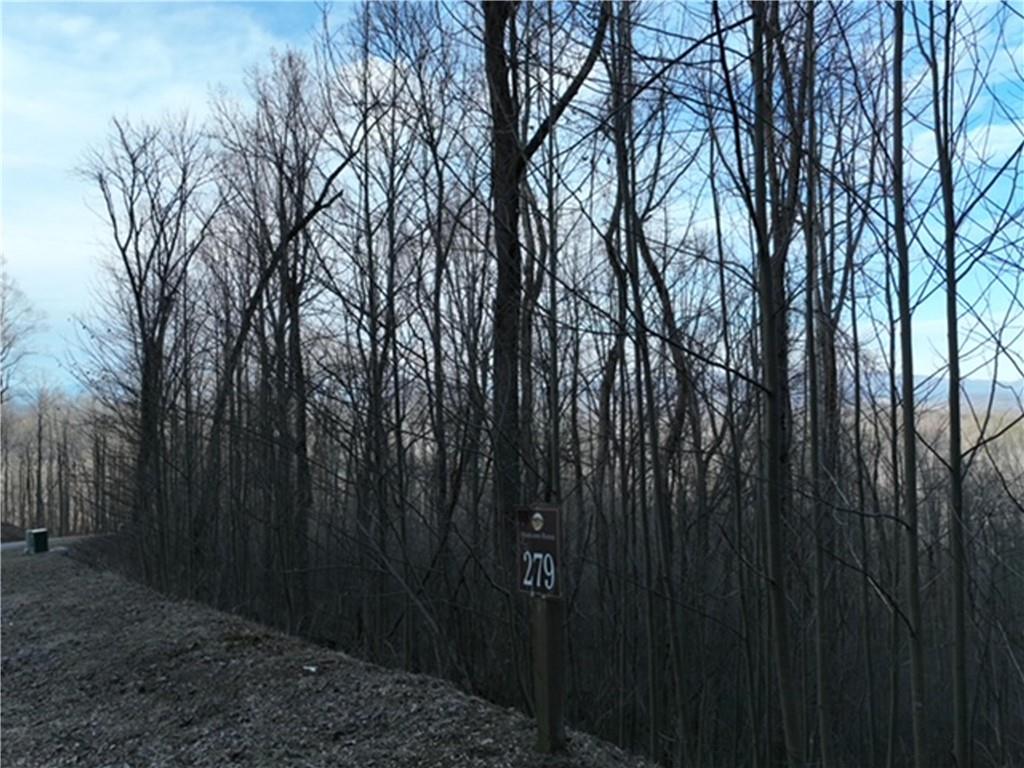 280 Andes Ridge Talking Rock, GA 30175 - Photo 13 of 48 a backyard of a house