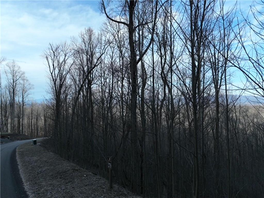 280 Andes Ridge Talking Rock, GA 30175 - Photo 14 of 48 a backyard of a house with lots of green space