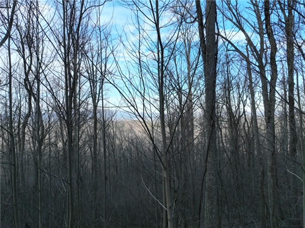 280 Andes Ridge Talking Rock, GA 30175 - Photo 15 of 48 a view of trees with trees in front of it