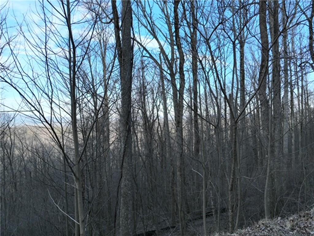 280 Andes Ridge Talking Rock, GA 30175 - Photo 16 of 48 a view of forest