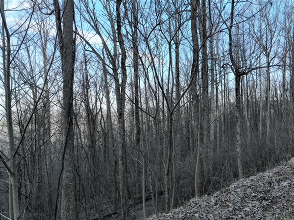 280 Andes Ridge Talking Rock, GA 30175 - Photo 17 of 48 a view of outdoor space with wooden fence